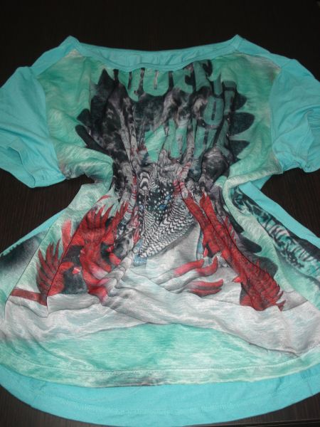 Blusa